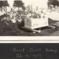 12320-david-hackney5-feb10