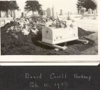 12320-david-caroll-hackney